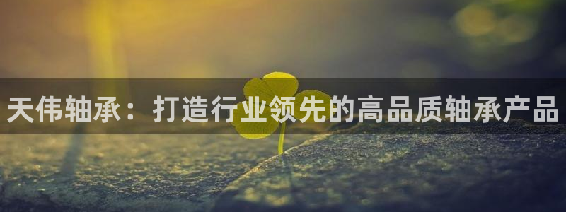 jbo竞博app官网每日互动